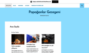 Papaganlargezegeni.wordpress.com thumbnail