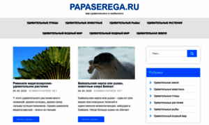 Papaserega.ru thumbnail