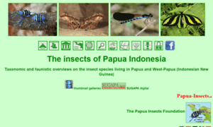 Papua-insects.nl thumbnail