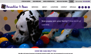 Paradise4pawsdenver.com thumbnail