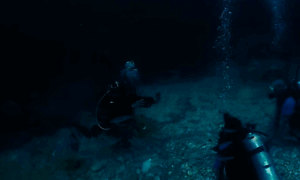 Paradisediving.net thumbnail