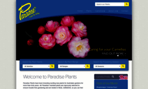 Paradiseplants.com.au thumbnail