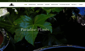 Paradiseplantsgardencentre.com thumbnail