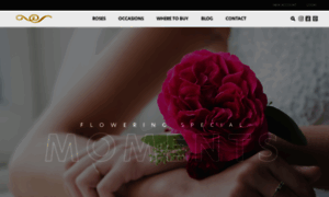 Parfumflowercompany.com thumbnail