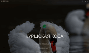 Park-kosa.ru thumbnail