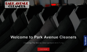 Parkavenuecleaners.com thumbnail