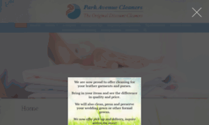 Parkavenuediscountcleaners.com thumbnail