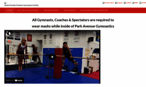 Parkavenuegymnastics.com thumbnail