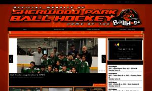 Parkballhockey.ca thumbnail