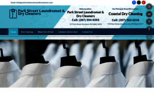 Parkstreetlaundryanddrycleaners.com thumbnail