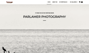 Parlamer.net thumbnail