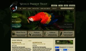 Parrots.org thumbnail