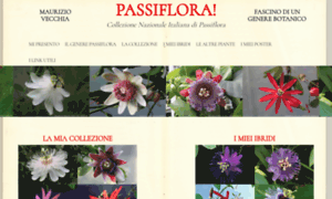 Passiflora.it thumbnail