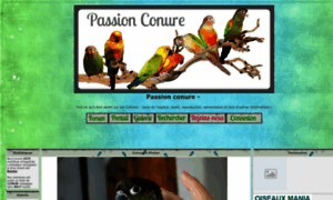 Passionconure.forums-actifs.com thumbnail