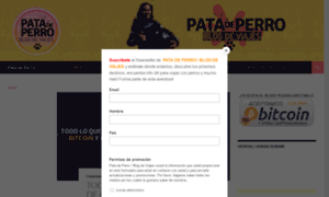 Patadeperro.paulaithurbide.com thumbnail