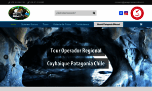 Patagoniamarmoltour.cl thumbnail