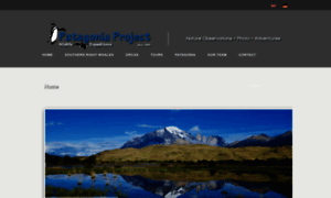 Patagoniaproject.com thumbnail
