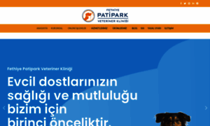 Patipark.com.tr thumbnail