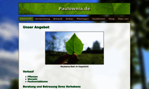 Paulownia.kaufen thumbnail
