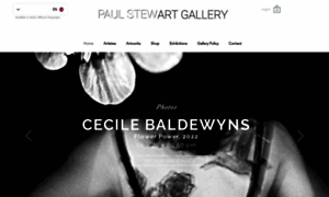 Paulstewartgallery.com thumbnail