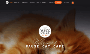 Pausecatcafe.co.uk thumbnail