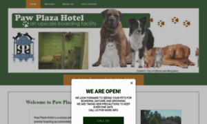 Pawplazahotel.com thumbnail