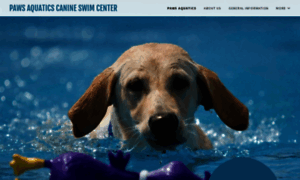 Pawsaquatics.com thumbnail