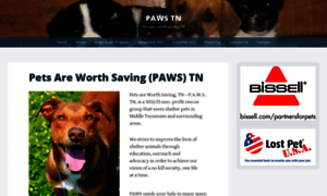 Pawstn.com thumbnail