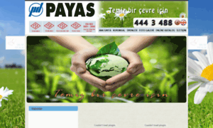 Payas.com.tr thumbnail