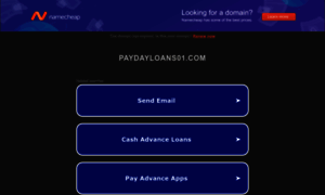 Paydayloans01.com thumbnail
