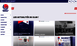 Paysdancenisbasket.fr thumbnail