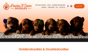 Peachesandcreamgoldendoodles.com thumbnail