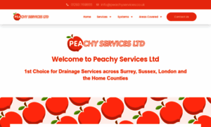 Peachyservices.co.uk thumbnail