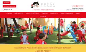 Pecas.net thumbnail