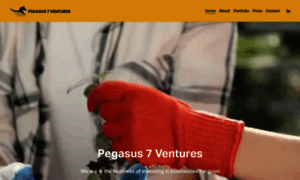 Pegasus7ventures.com thumbnail