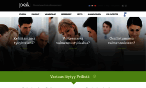 Peiliconsulting.fi thumbnail