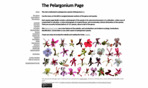 Pelargonium.si thumbnail