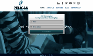 Pelicanmarketingsolutions.com thumbnail