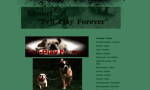 Pellplayforever.jimdo.com thumbnail