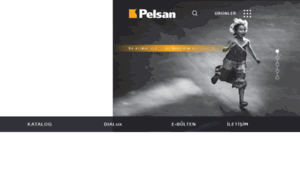 Pelsan.com thumbnail