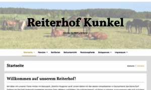 Pension-fuer-pferd-und-reiter.de thumbnail