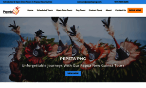 Pepetapng.com thumbnail