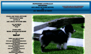 Peppertreeaussies.com thumbnail