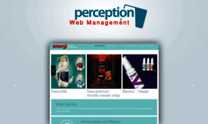 Perception.net thumbnail