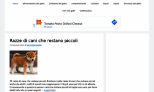 Percheilmiogatto.it thumbnail