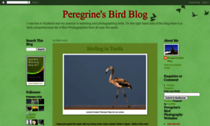 Peregrinesbirdblog.blogspot.com thumbnail