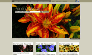 Perennials.com thumbnail