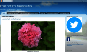 Perfect-pelargoniums.com thumbnail