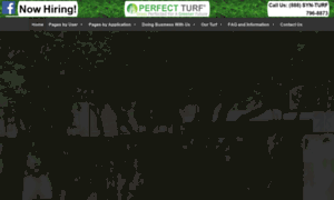 Perfectturf.com thumbnail