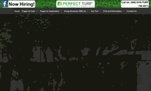 Perfectturfinc.com thumbnail